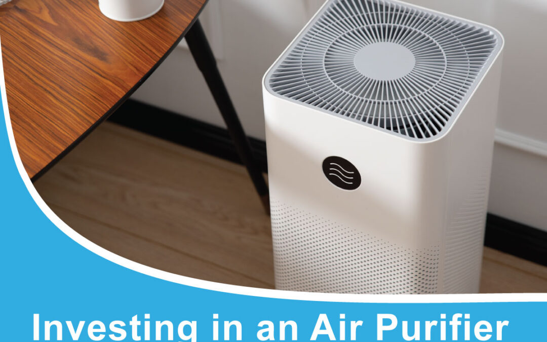 Investing In an Air Purifier: Is It Worth the Money?