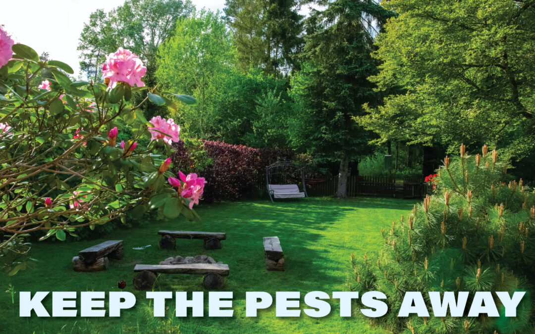 Keep the Pests Away: Bug-Proof Your Late Summer Backyard Fun