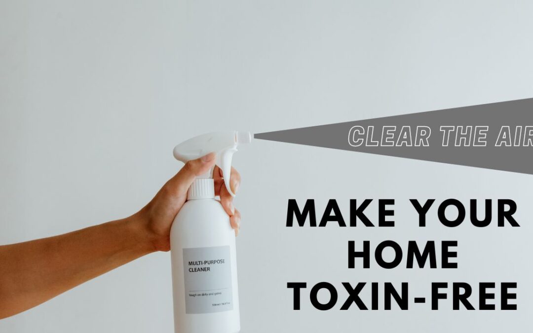 Clear the Air: Make Your Home Toxin-Free